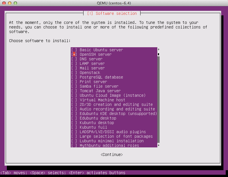 ../../_images/ubuntu-software-selection.png